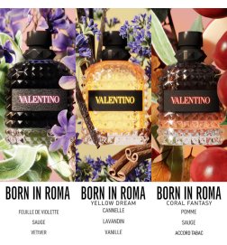 Uomo Born in Roma Yellow Dream - Eau de Toilette